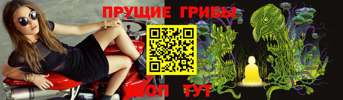 Псилоцибиновые грибы MAGIC MUSHROOMS Сертолово
